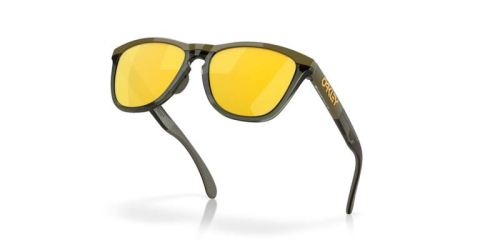 Lunettes de soleil OAKLEY Frogskins™ Range verres Prizm 24k Polarized